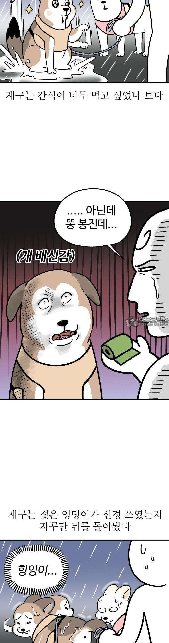 노곤하개 쇼츠 비 오는 날 있었던 일 4