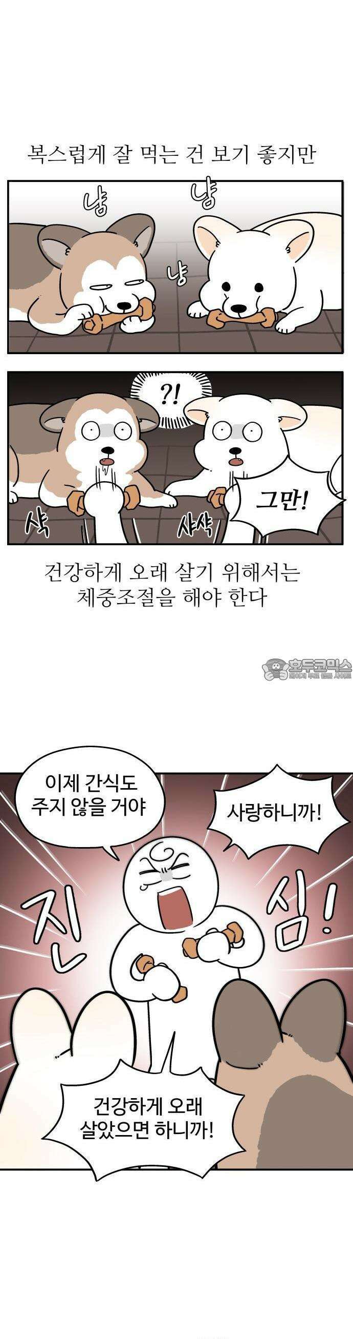 노곤하개 쇼츠 비 오는 날 있었던 일 6