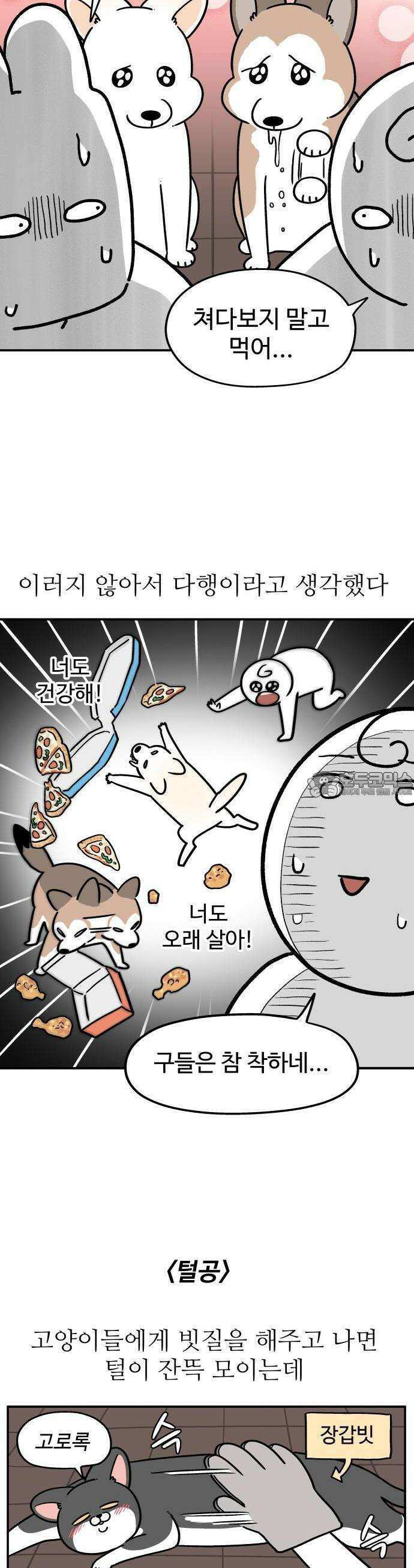 노곤하개 쇼츠 비 오는 날 있었던 일 8