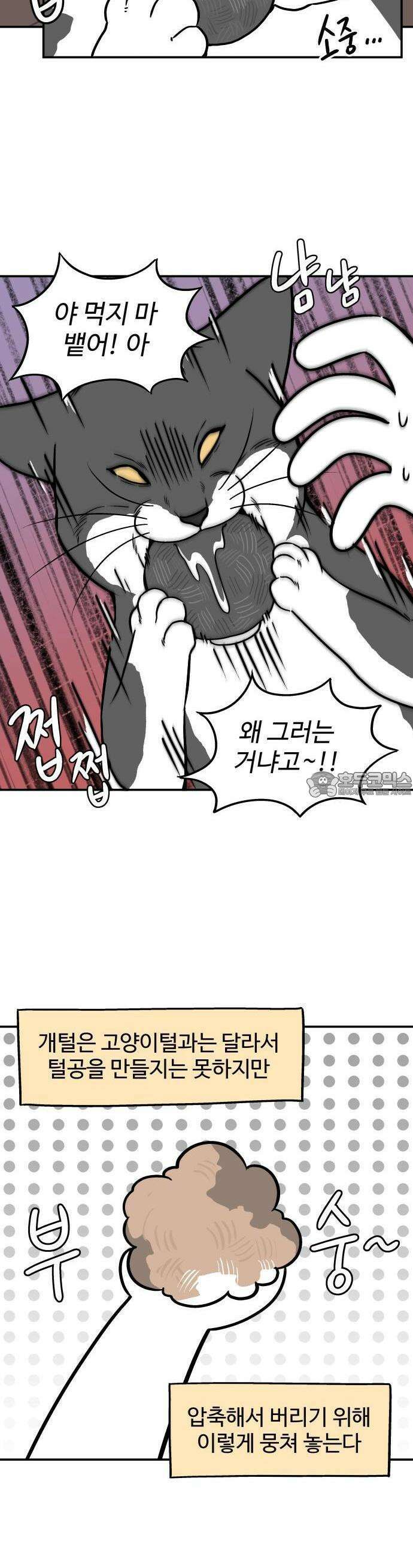 노곤하개 쇼츠 비 오는 날 있었던 일 10
