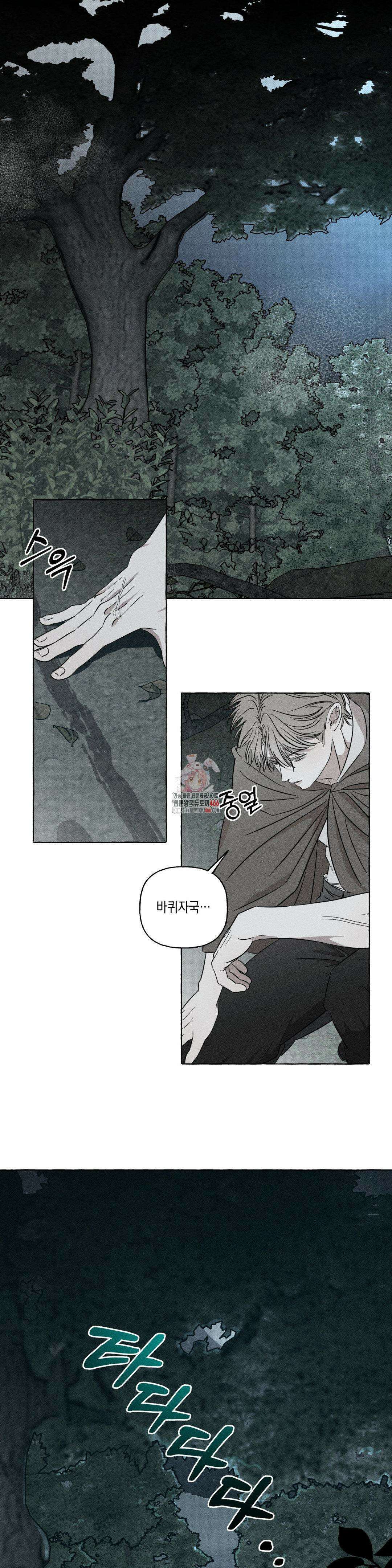 뼈와 꽃잎 28화 1