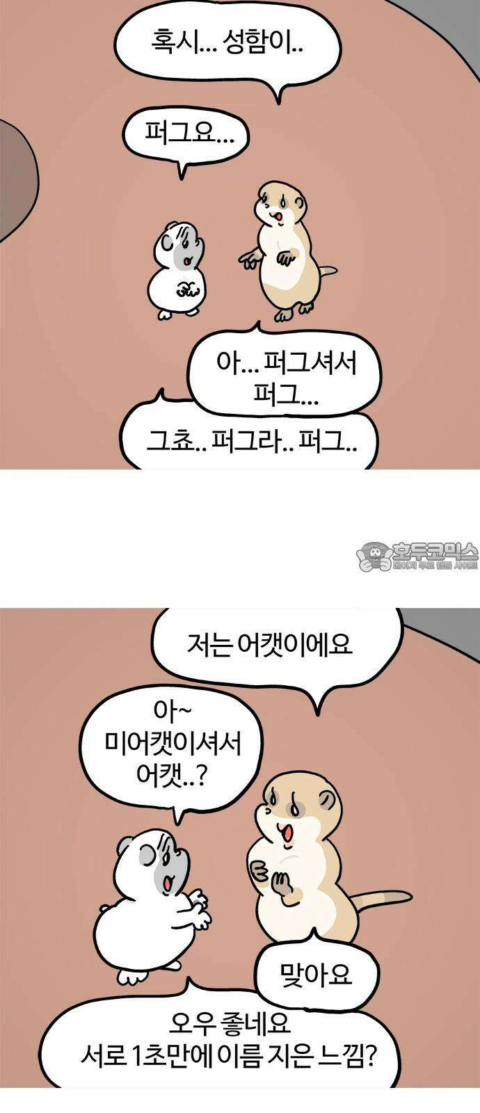 흔한햄 에필로그 3화 : 코치 3