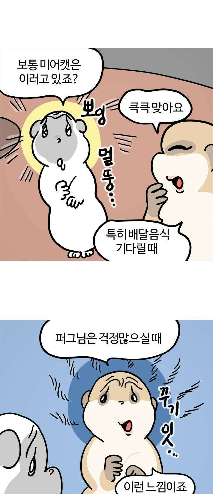 흔한햄 에필로그 3화 : 코치 4