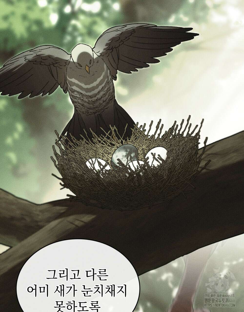 약속을 한 건 내가 아니야 33화 43