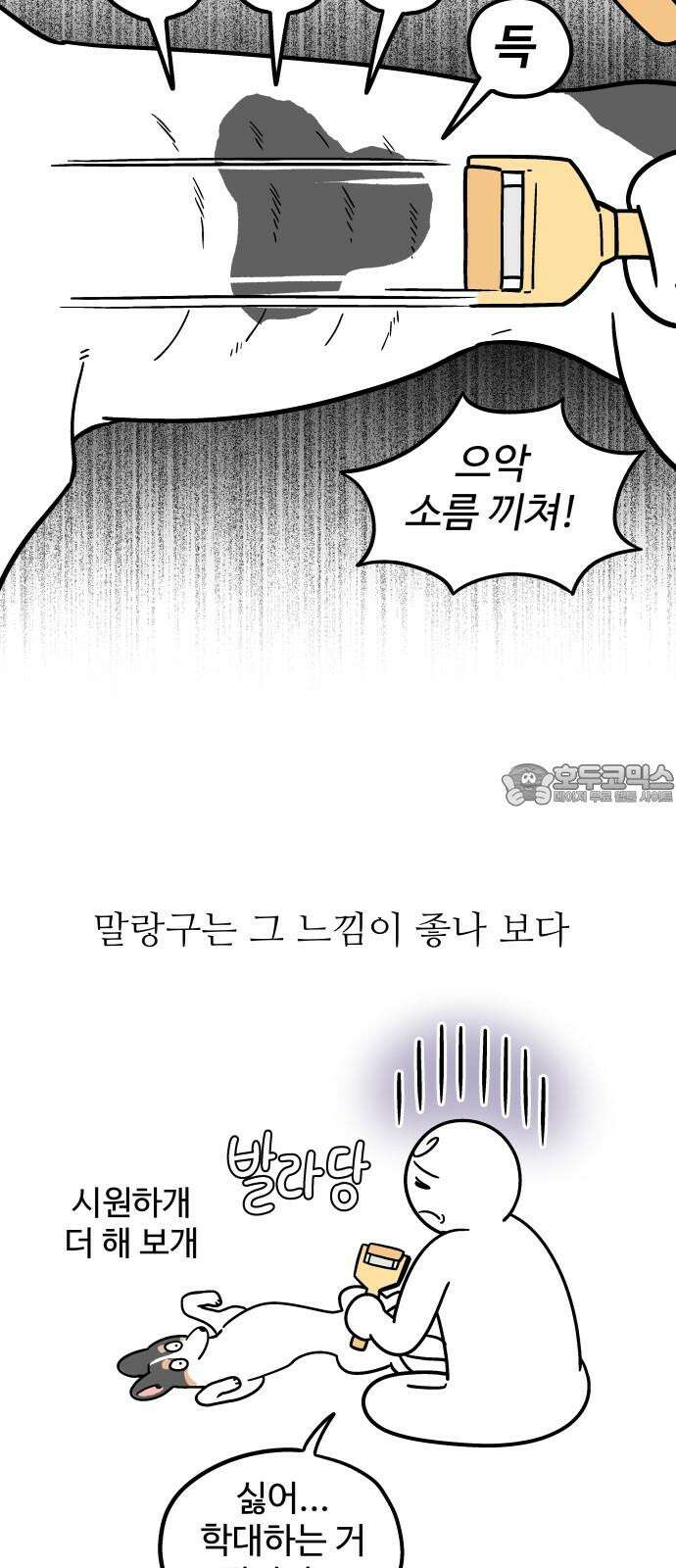 노곤하개 쇼츠 강아지 말랑구 3