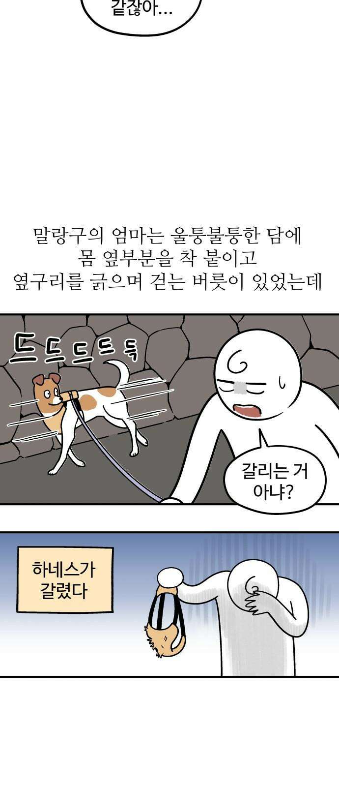 노곤하개 쇼츠 강아지 말랑구 4