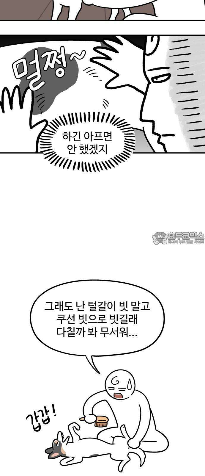 노곤하개 쇼츠 강아지 말랑구 6