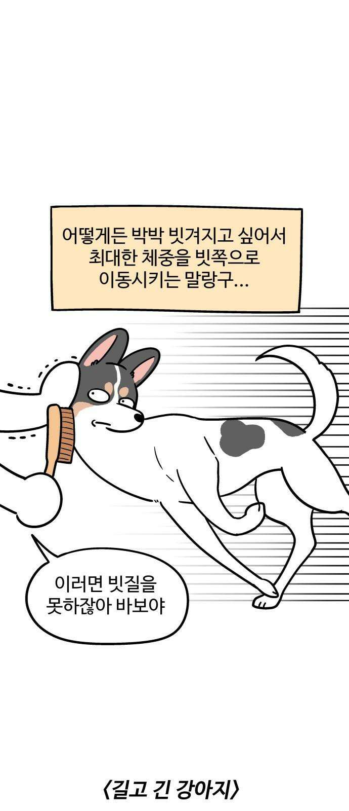 노곤하개 쇼츠 강아지 말랑구 7