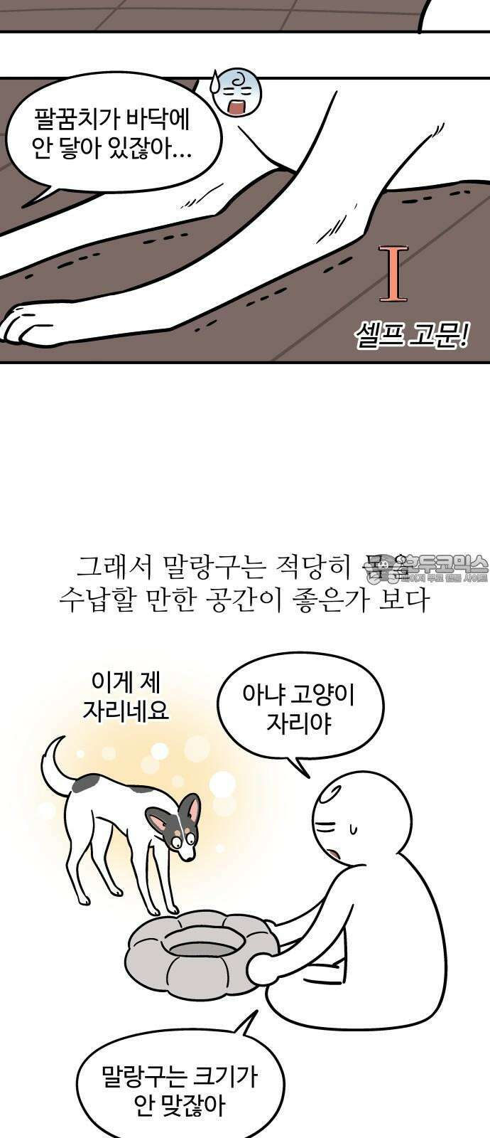 노곤하개 쇼츠 강아지 말랑구 9