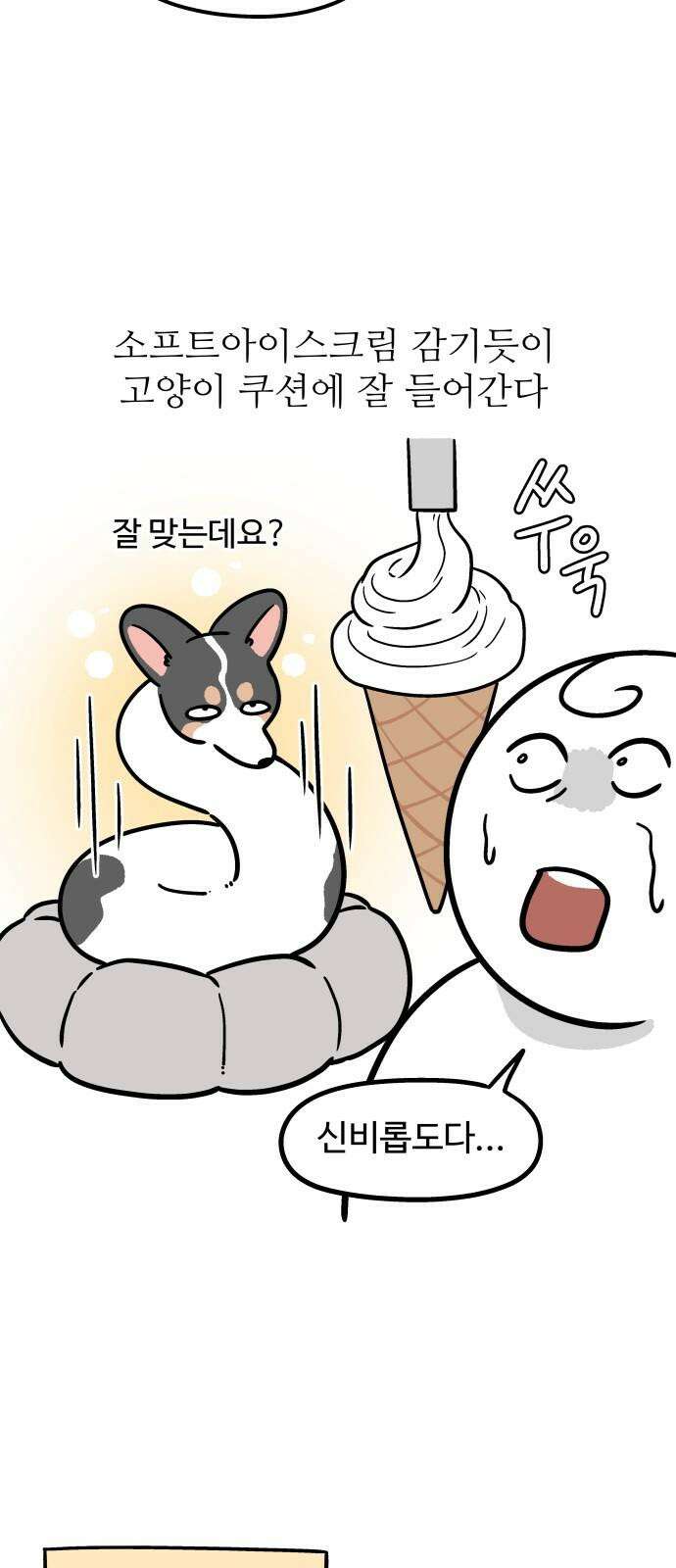 노곤하개 쇼츠 강아지 말랑구 10