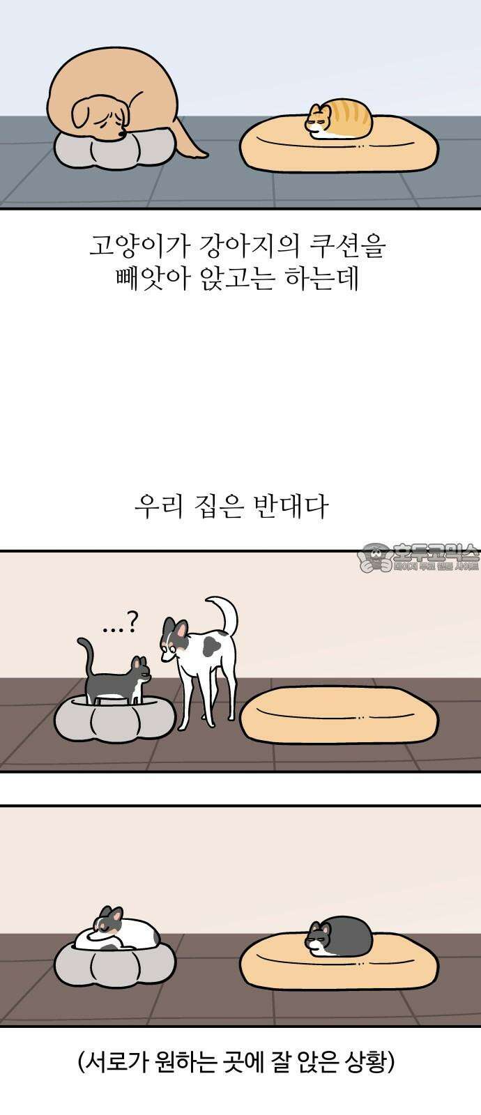 노곤하개 쇼츠 강아지 말랑구 12
