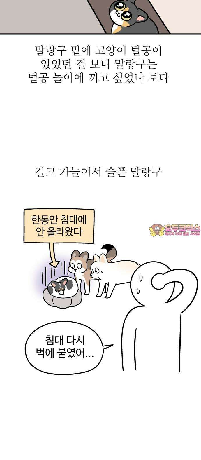 노곤하개 쇼츠 강아지 말랑구 18