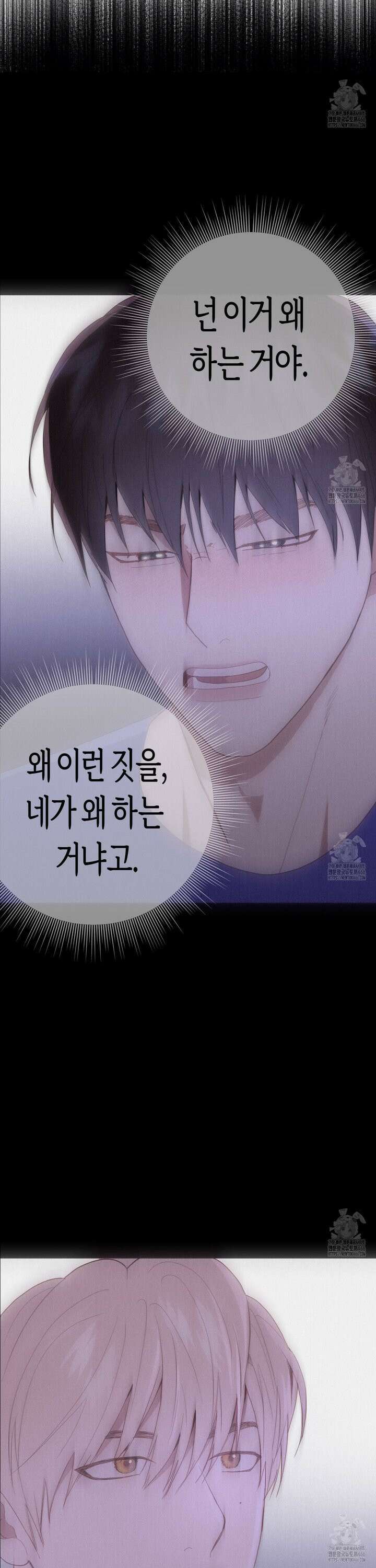 알파친구 42화 15