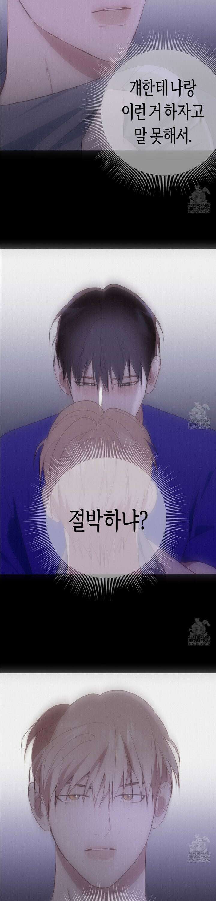알파친구 42화 16