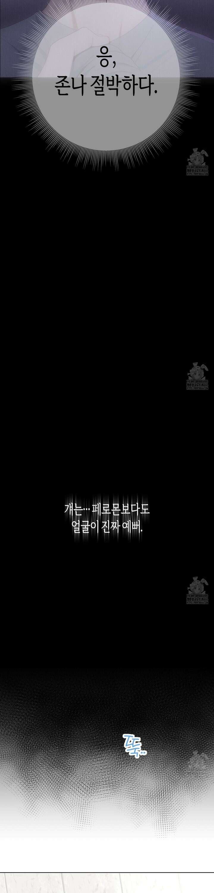 알파친구 42화 17
