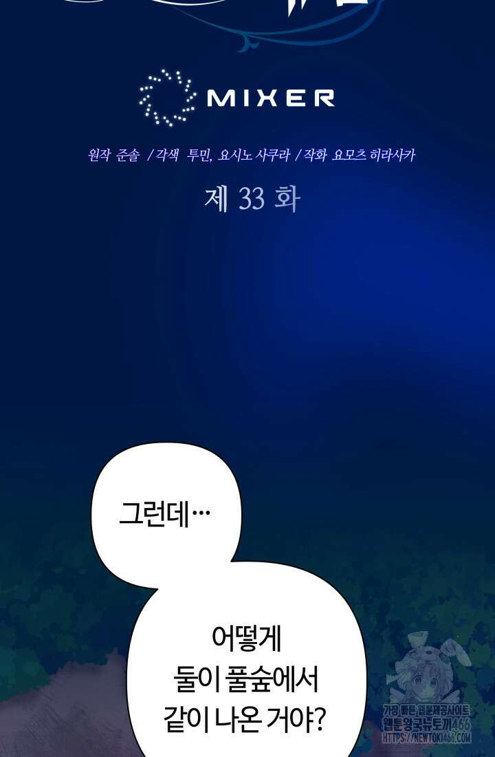신화 속 대마법사의 재림 33화 19