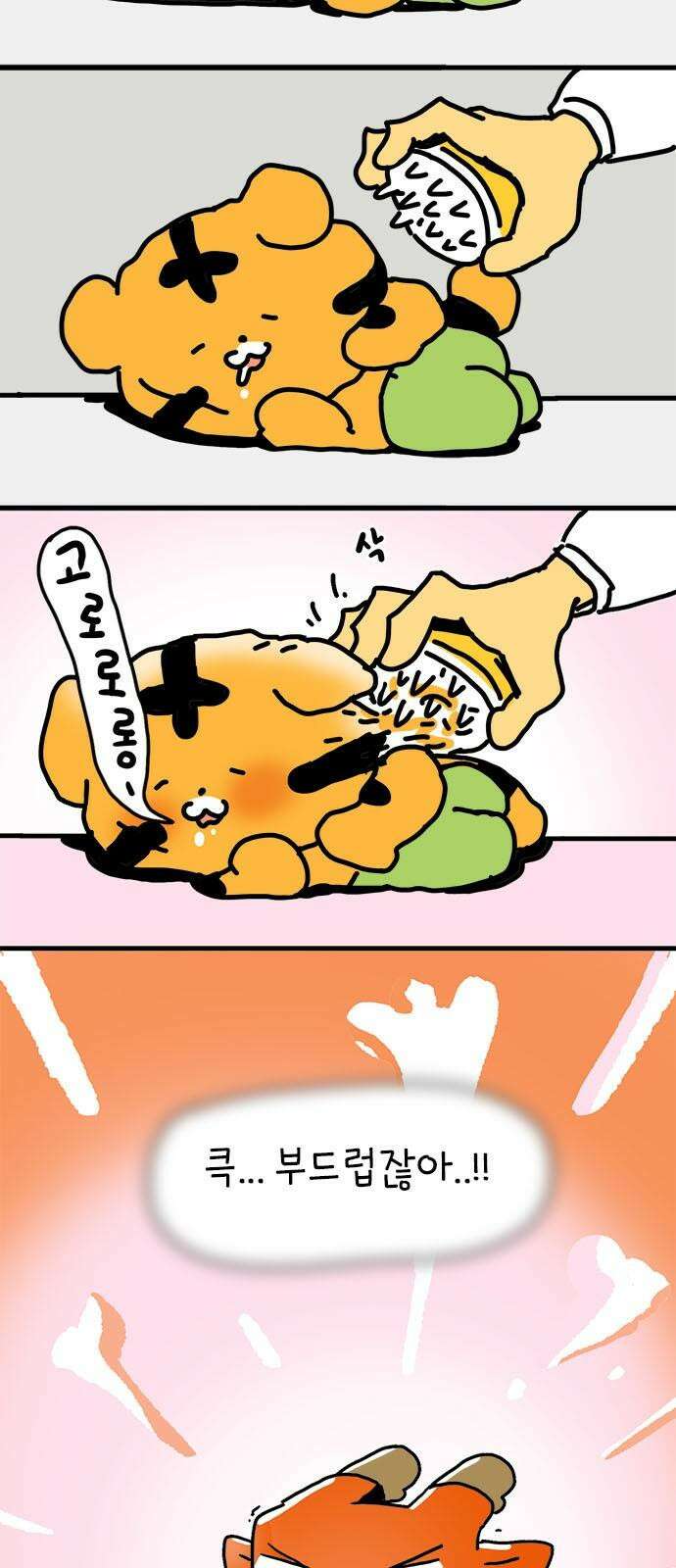 소심한 호랭이 코코 32화 호랑이 길들이기 (1) 35