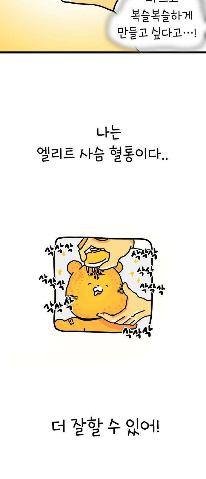 소심한 호랭이 코코 32화 호랑이 길들이기 (1) 38