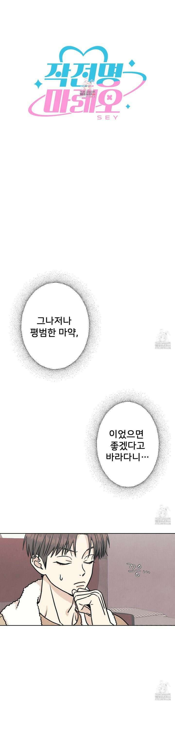작전명 마레오 9화 1
