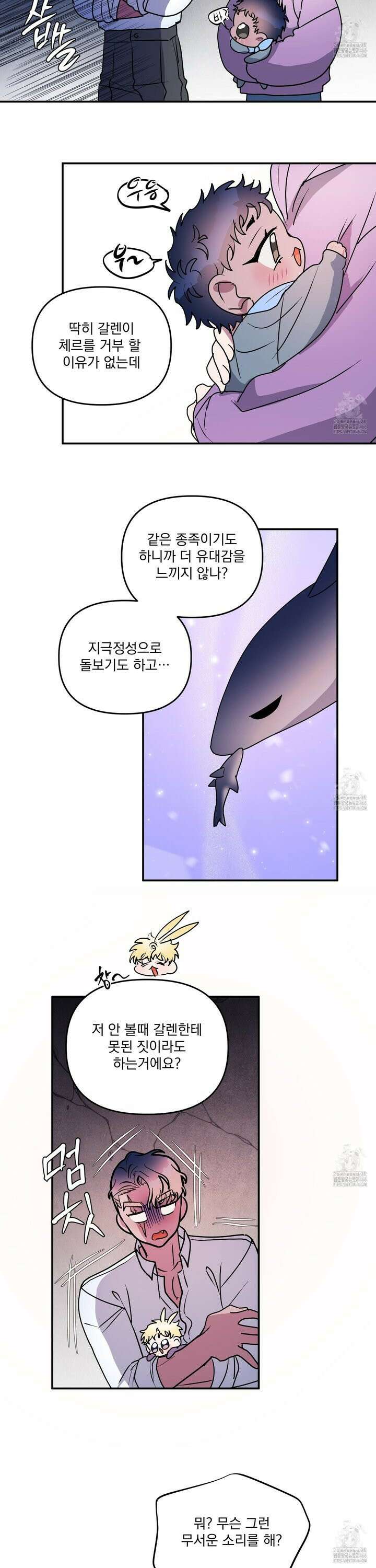 상어에게서 토끼는 방법 52화 24