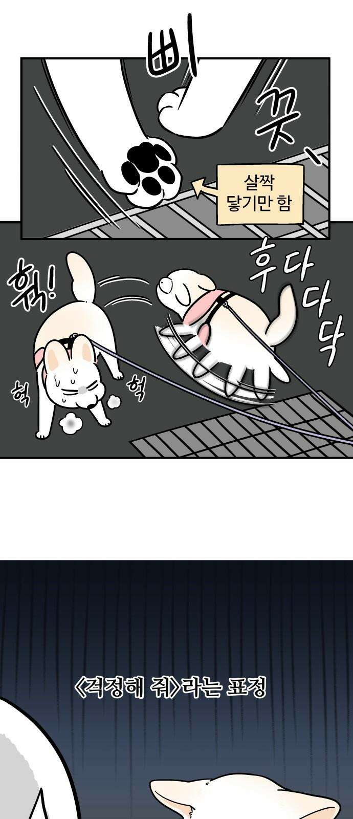노곤하개 쇼츠 공포의 발밑 5