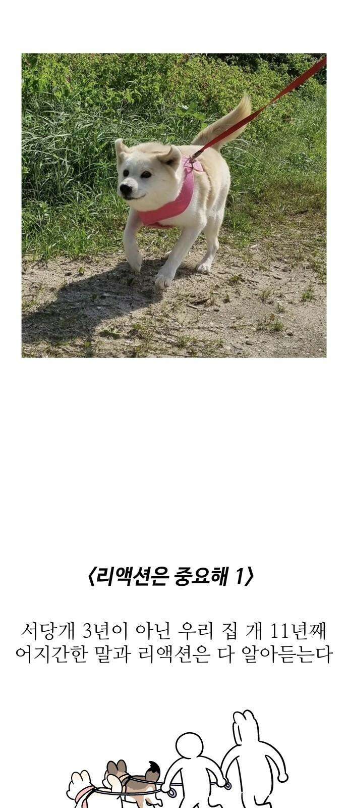 노곤하개 쇼츠 공포의 발밑 8