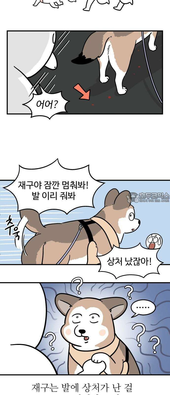 노곤하개 쇼츠 공포의 발밑 9