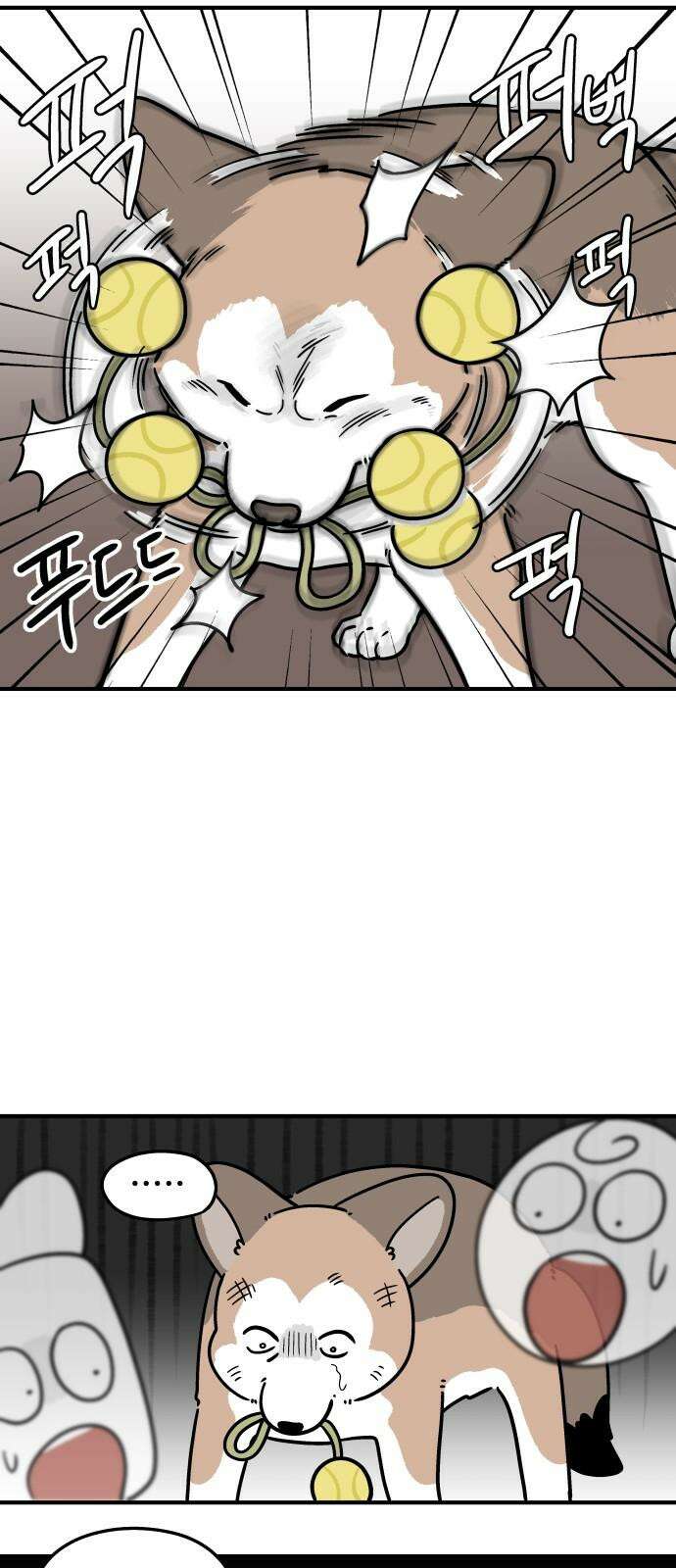 노곤하개 쇼츠 공포의 발밑 14