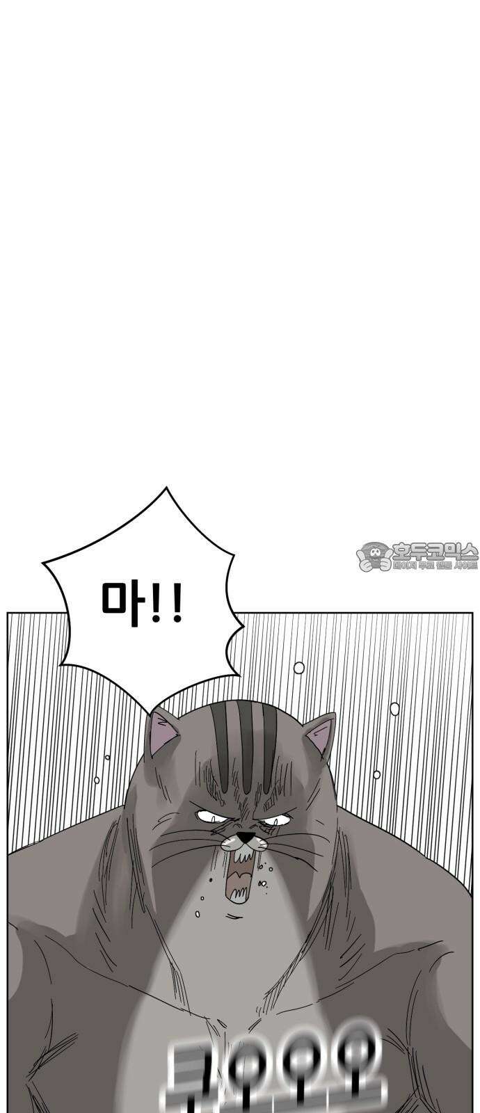 괴양이 77화 탐정 카이사르 6