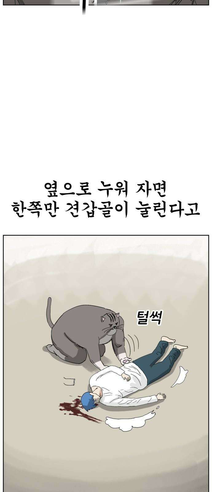 괴양이 77화 탐정 카이사르 7