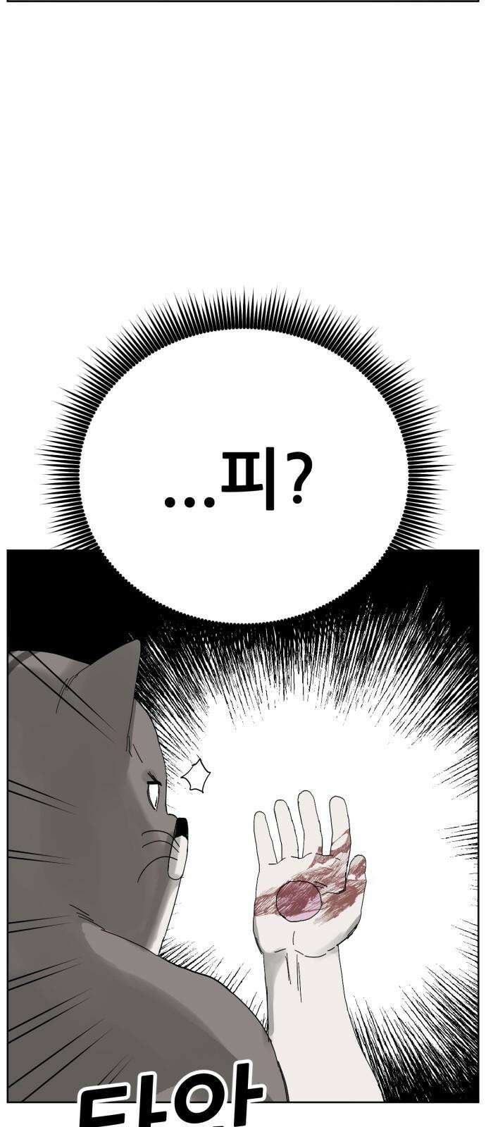 괴양이 77화 탐정 카이사르 8