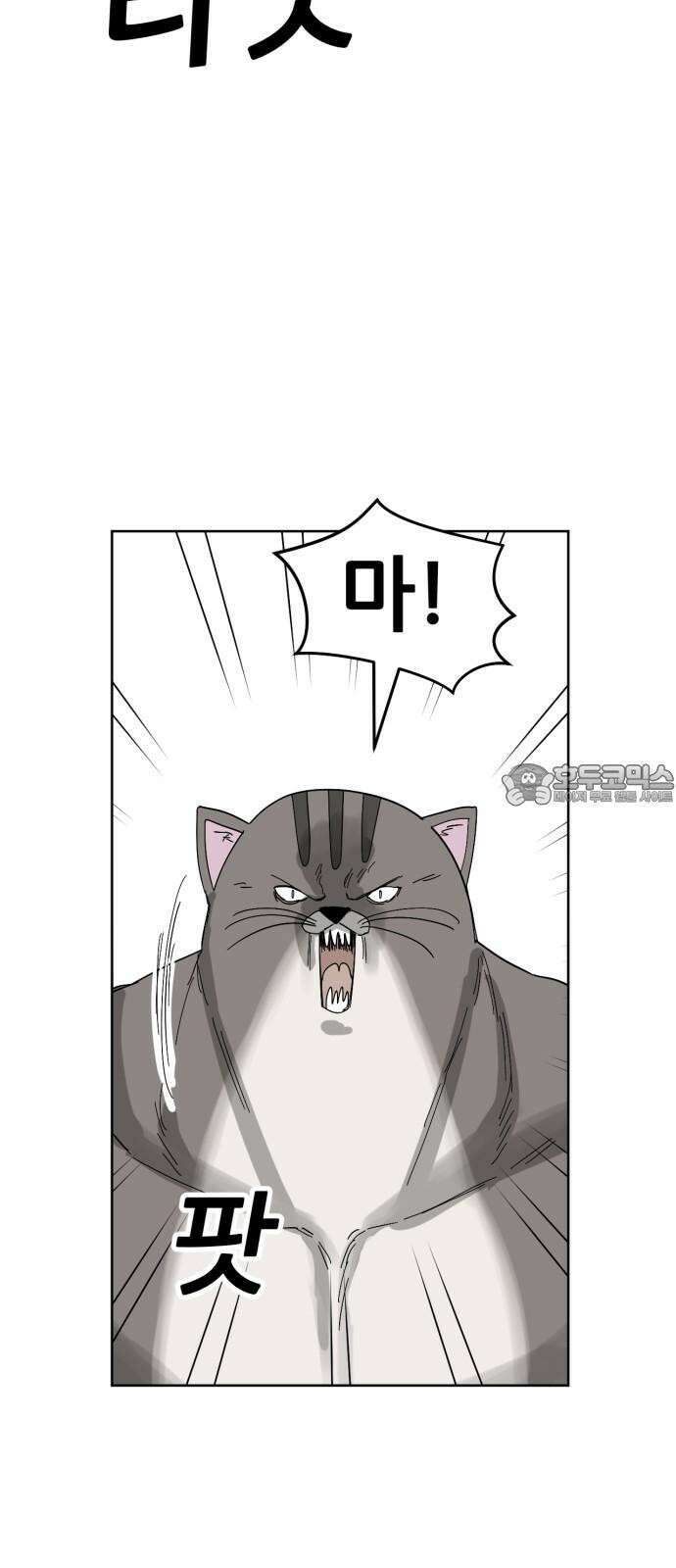 괴양이 77화 탐정 카이사르 9