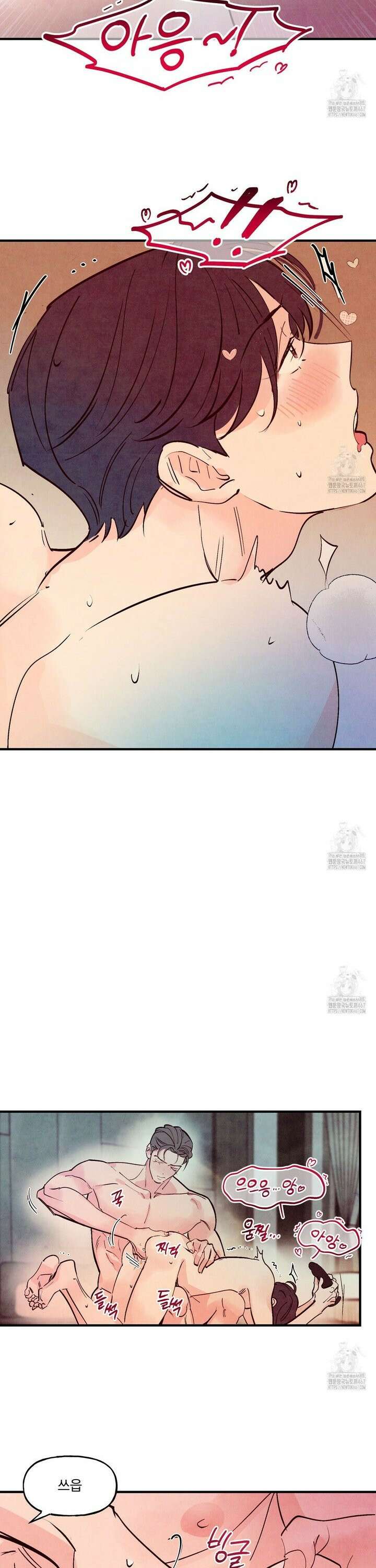 펀치 드렁크 러브 80화 14