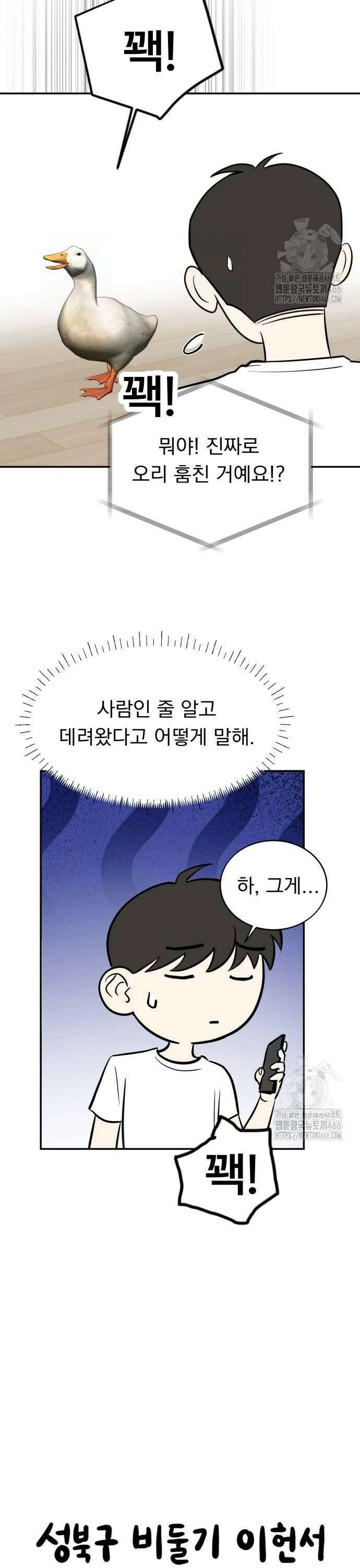 성북구 비둘기 이헌서 35화) 정면 돌파 4