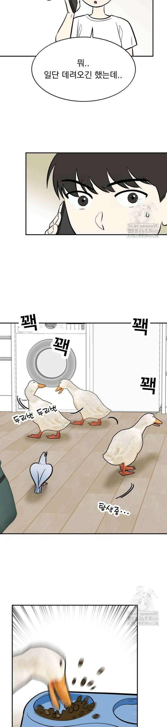 성북구 비둘기 이헌서 35화) 정면 돌파 6