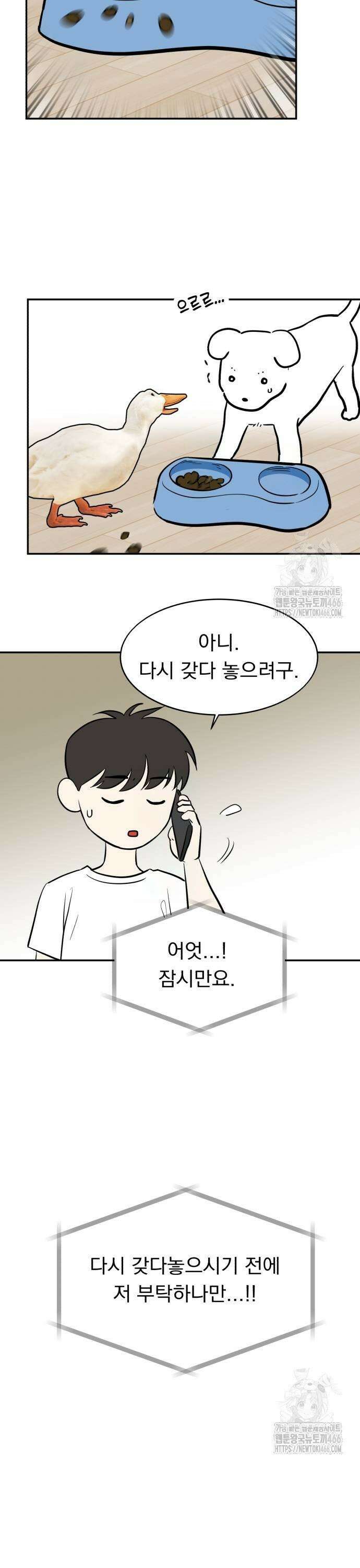 성북구 비둘기 이헌서 35화) 정면 돌파 7