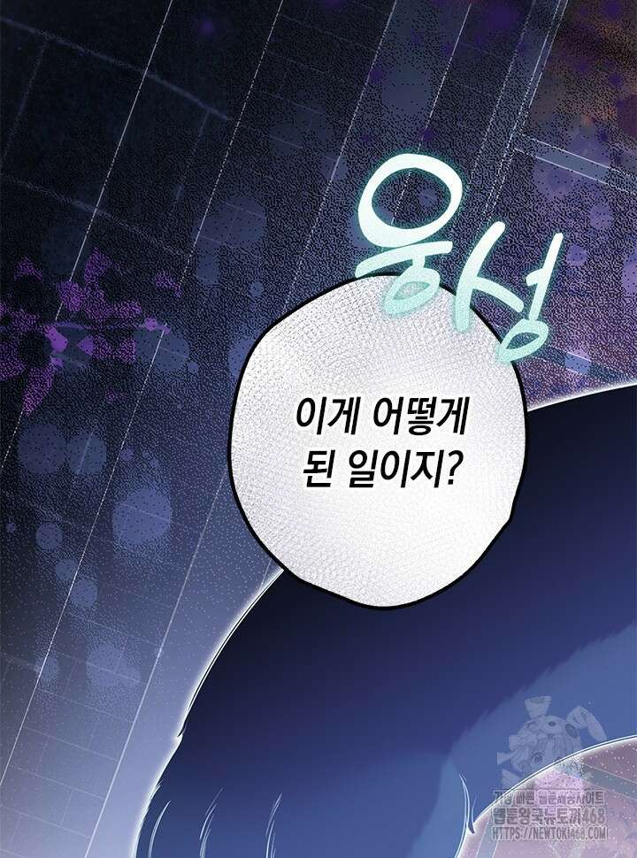 총애를 거절하는데 왜 집착하나요 46화 12