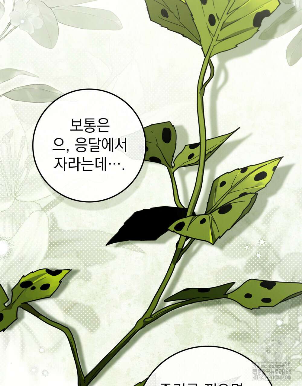 상수리나무 아래 117화 9