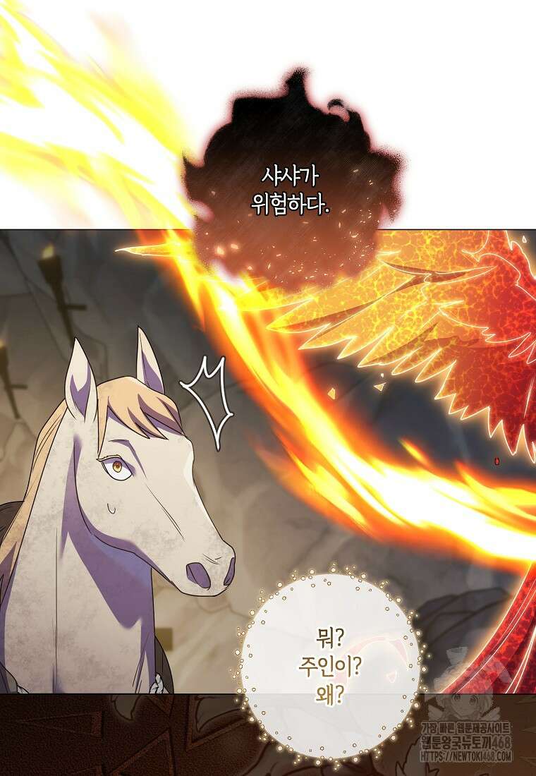 결혼도 안 했는데 무슨 이혼인가요, 폐하 42화 22