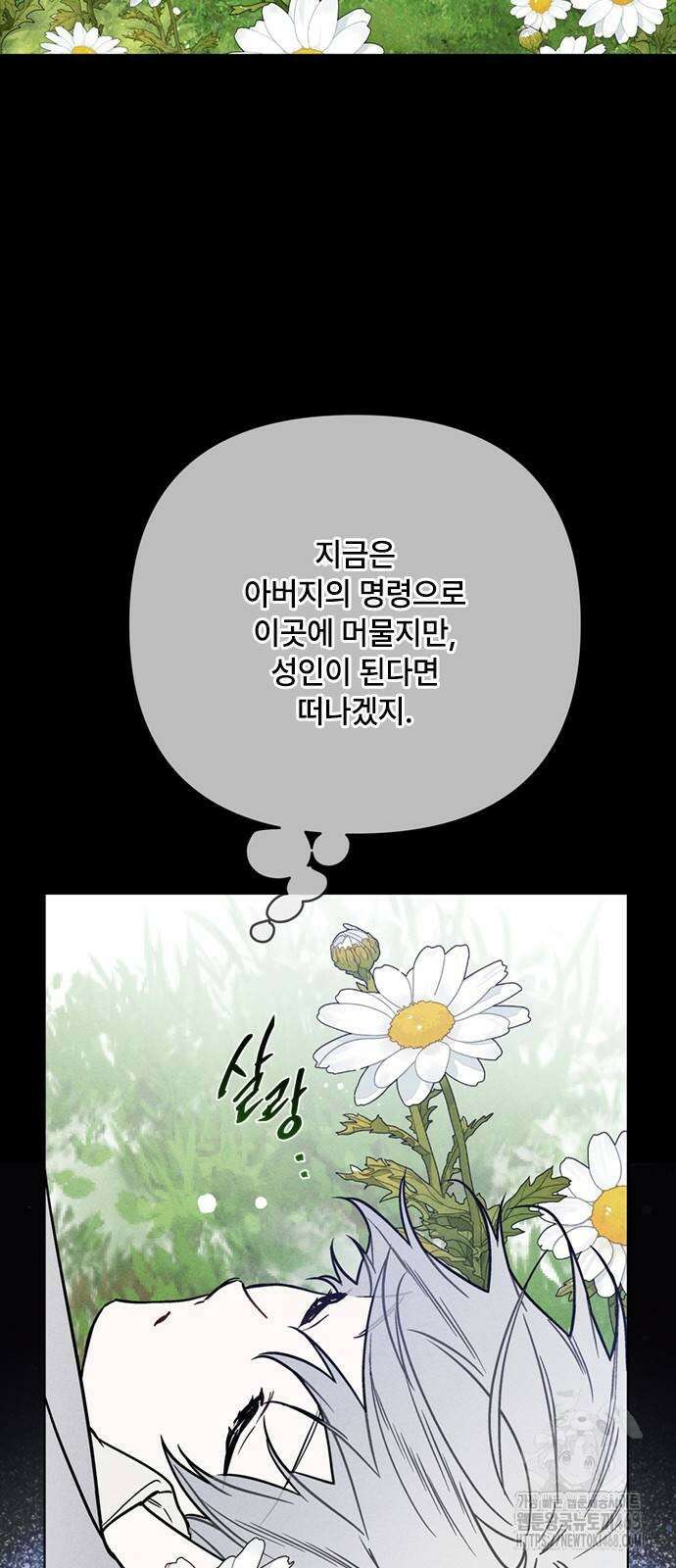 그 기사가 레이디로 사는 법 152화 61