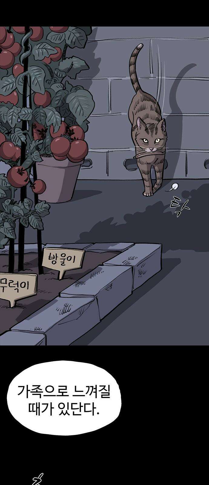 만수면 무강리 37화 20