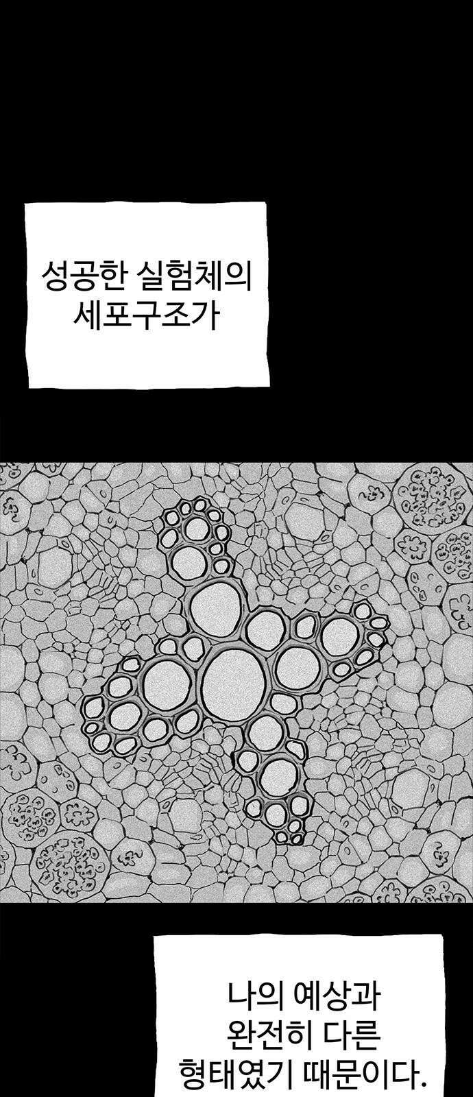 만수면 무강리 37화 73