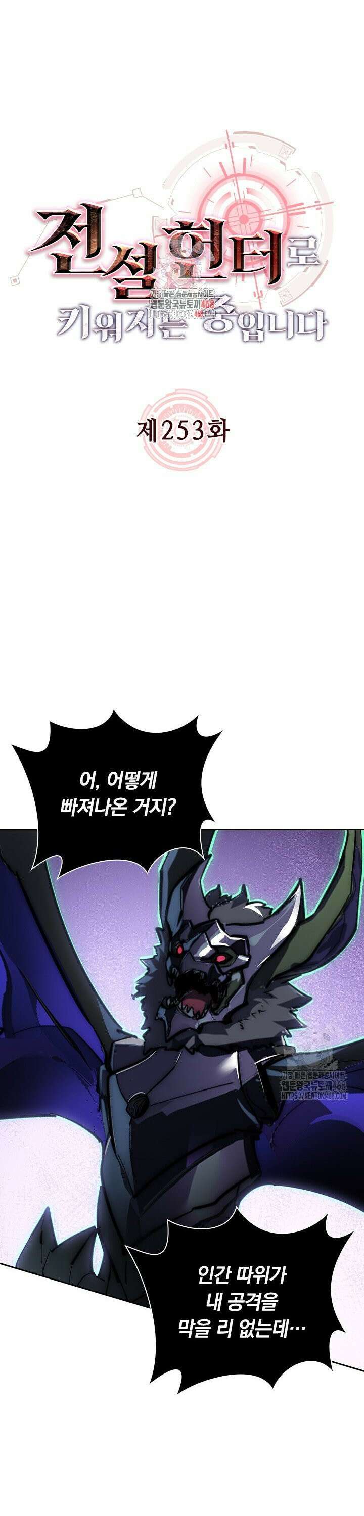 전설 헌터로 키워지는 중입니다 253화 1