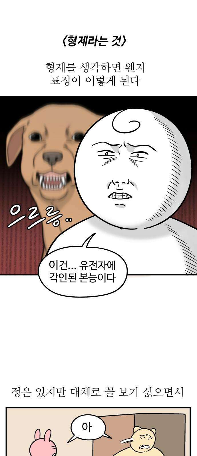 노곤하개 쇼츠 형제라는 것 2