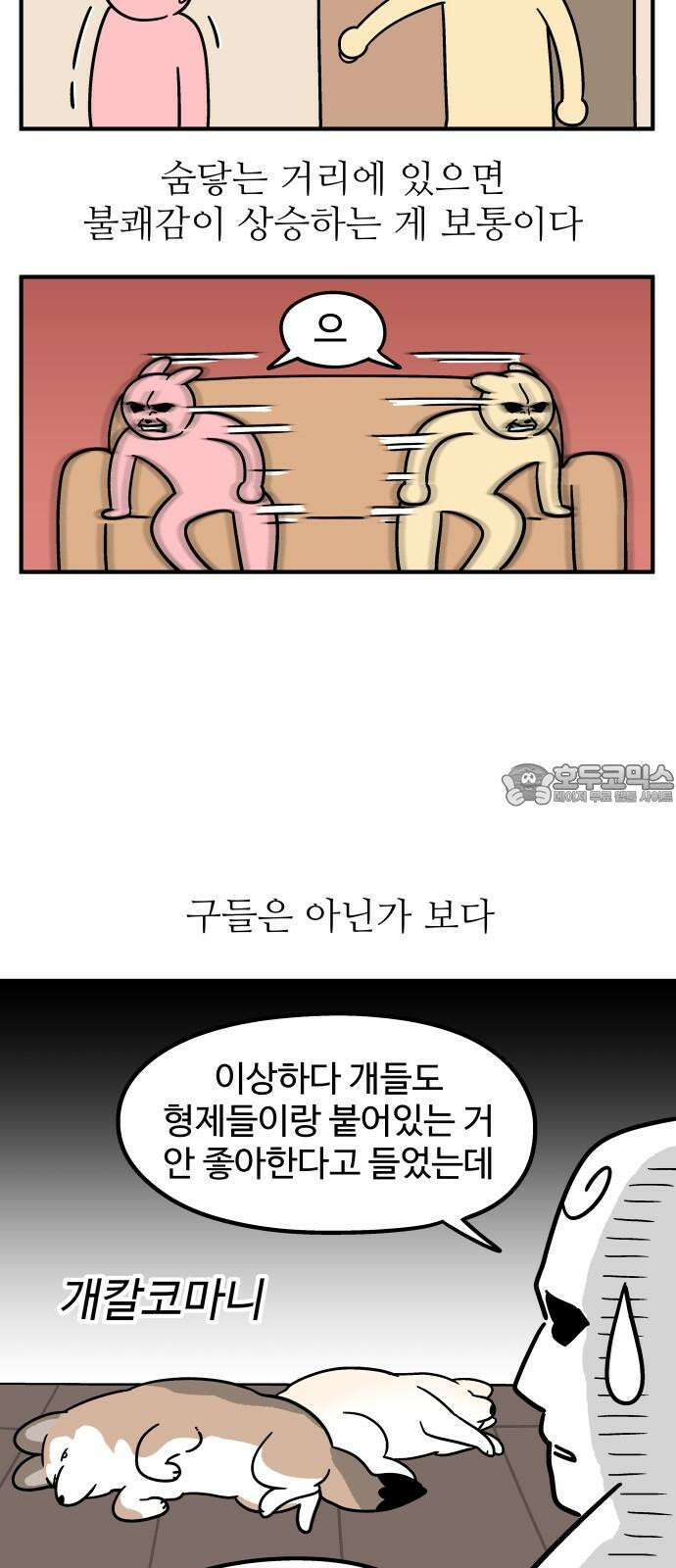노곤하개 쇼츠 형제라는 것 3