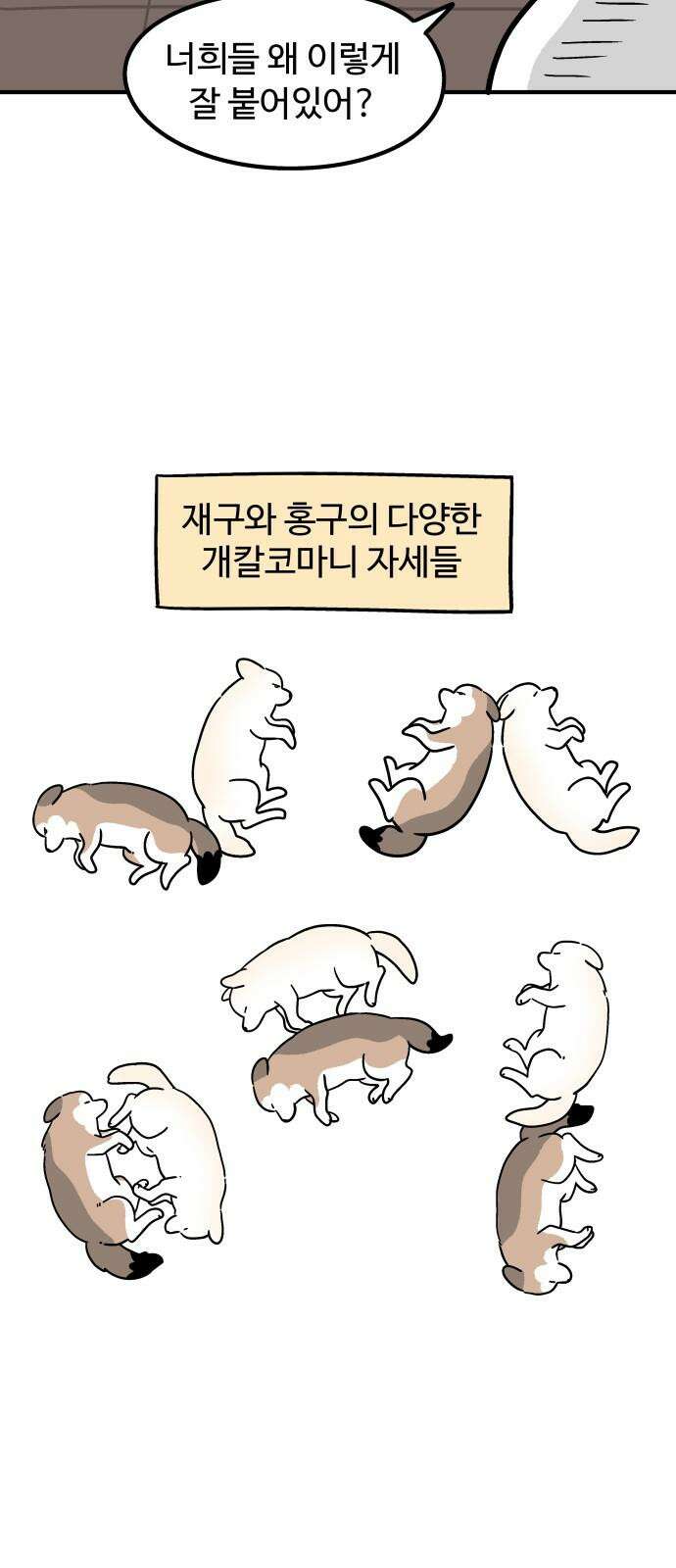 노곤하개 쇼츠 형제라는 것 4