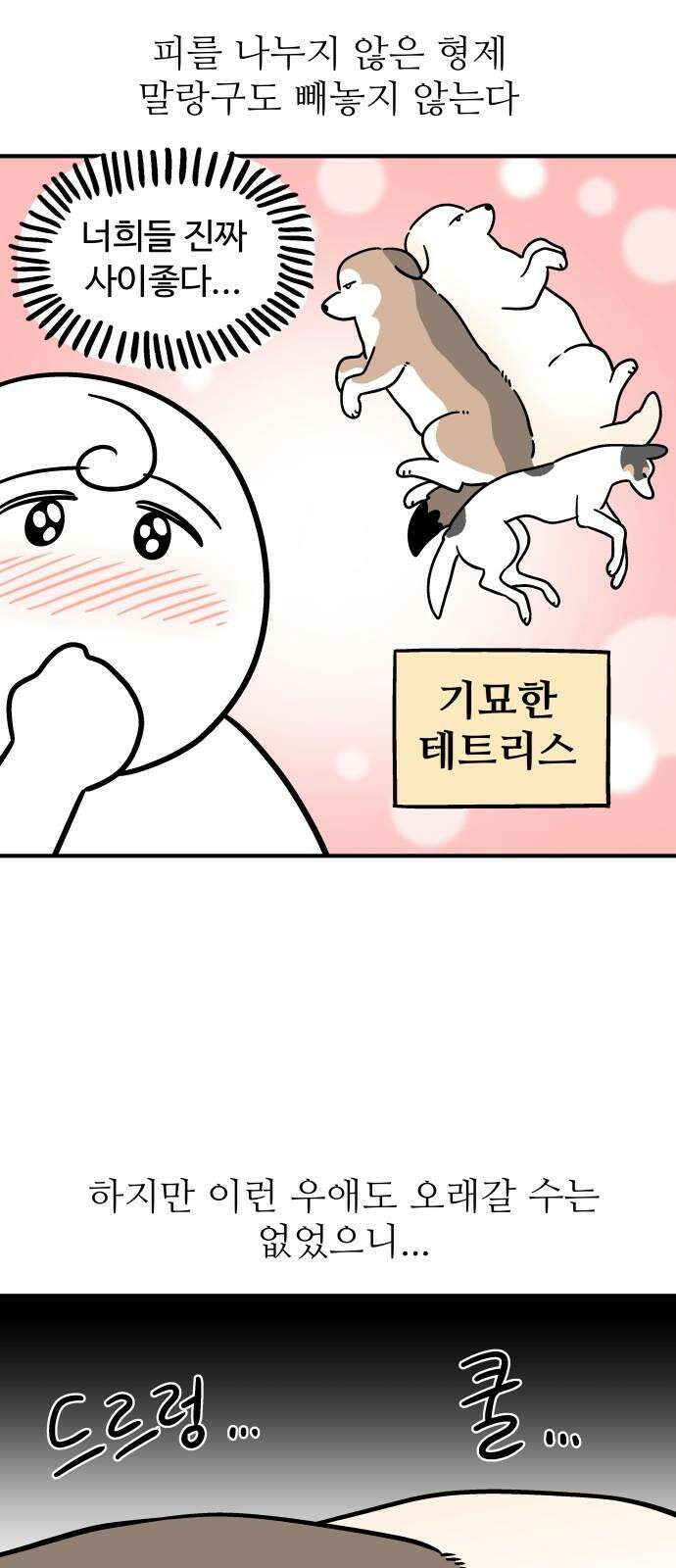 노곤하개 쇼츠 형제라는 것 5