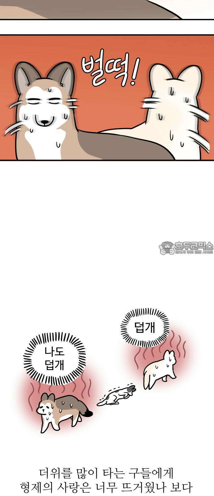 노곤하개 쇼츠 형제라는 것 6