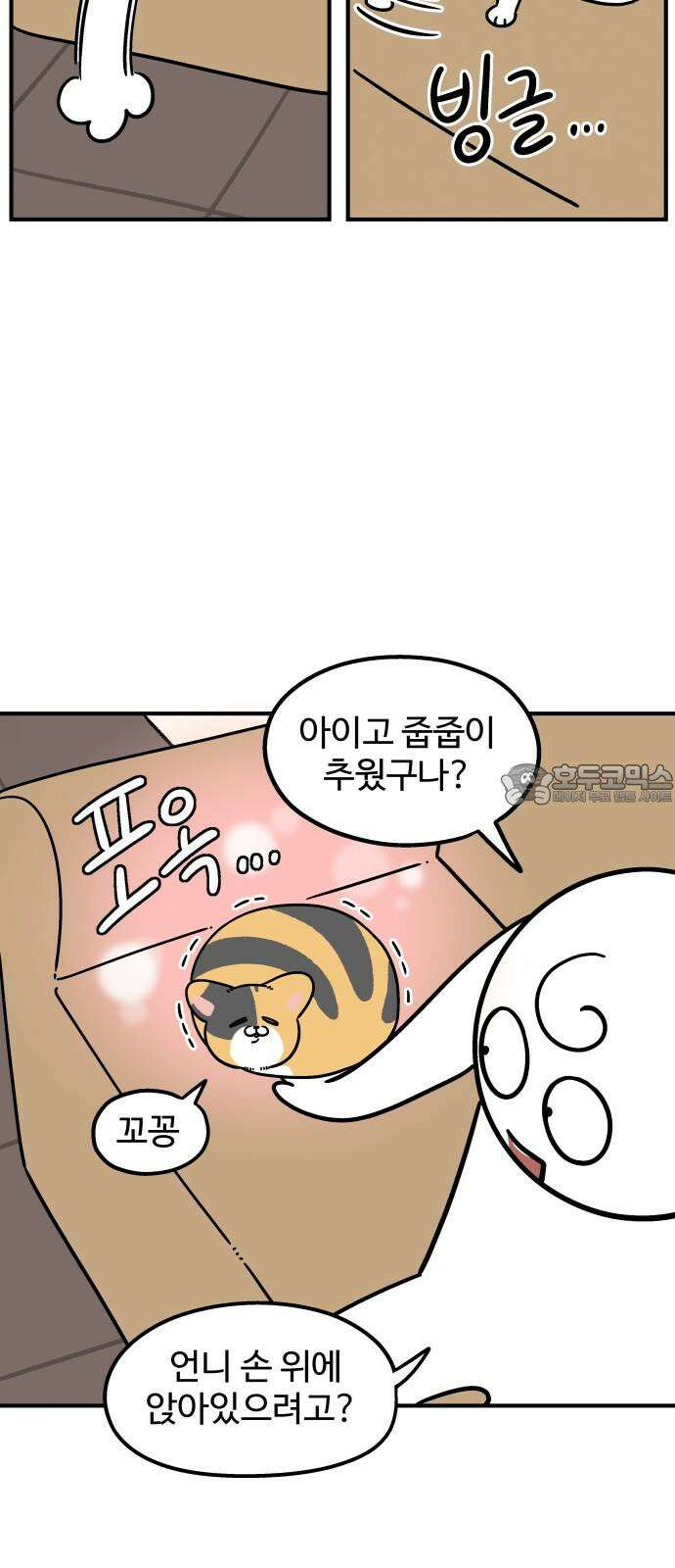 노곤하개 쇼츠 형제라는 것 12