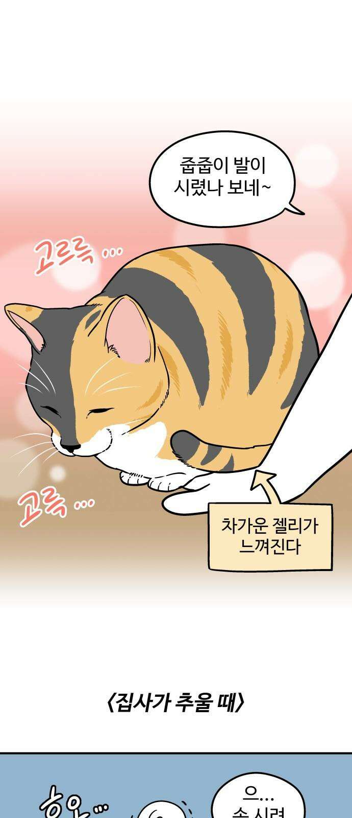 노곤하개 쇼츠 형제라는 것 13